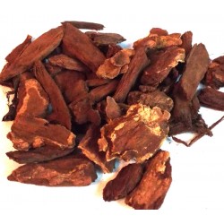 25gms Jezebel Root